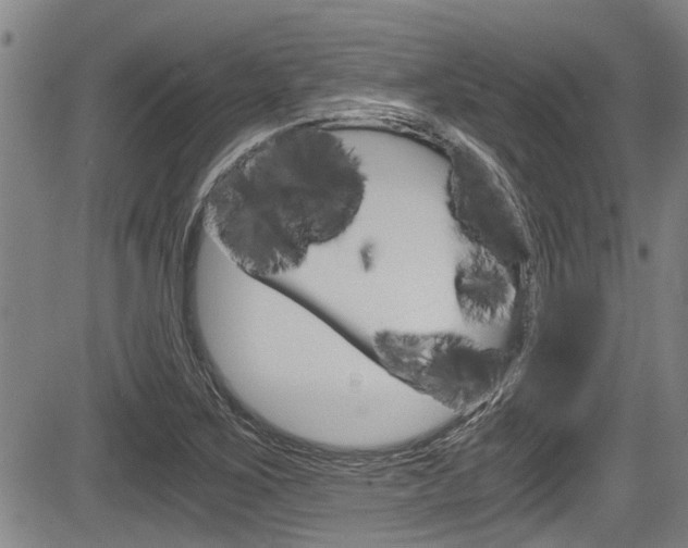 X0000084031267200702160843