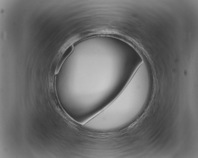 X0000084031273200702160843