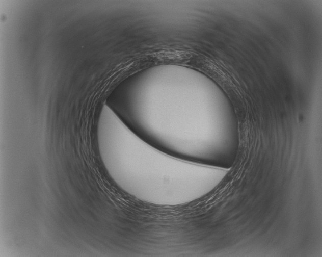 X0000084031297200702160842