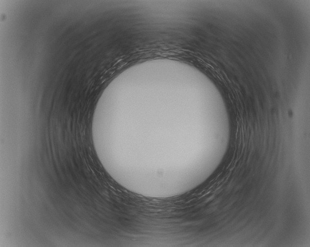 X0000084031298200702160842