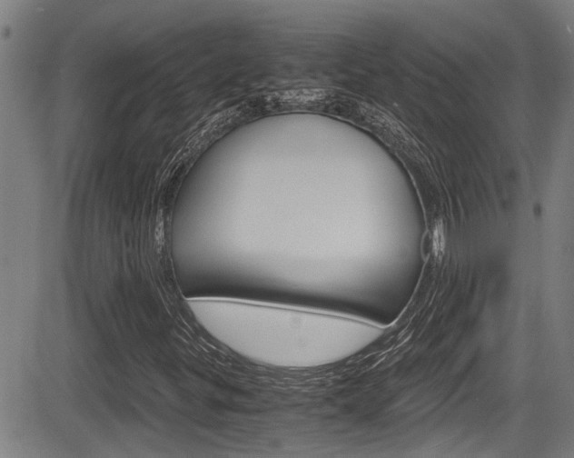 X0000084031299200702160842