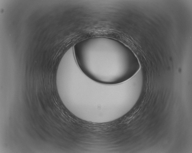 X0000084031300200702160842