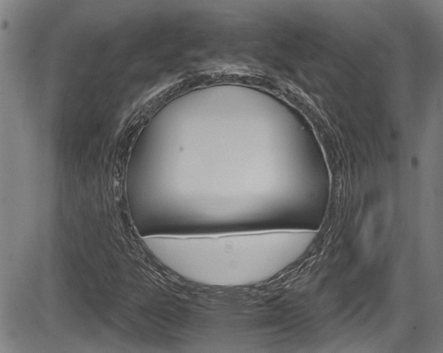 X0000084031303200702160842