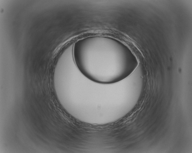 X0000084031304200702160842