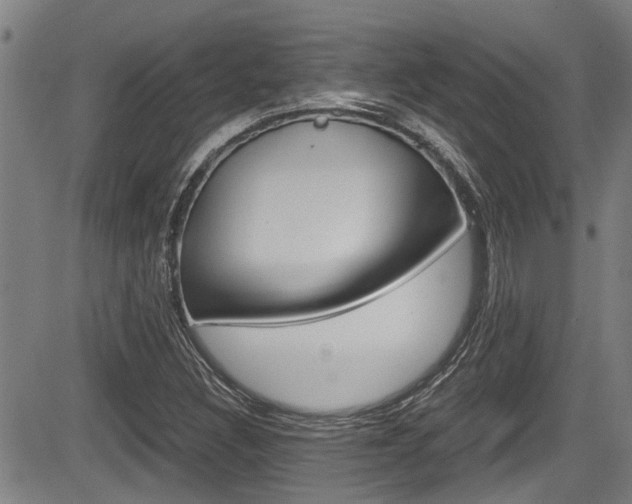 X0000084031308200702160842