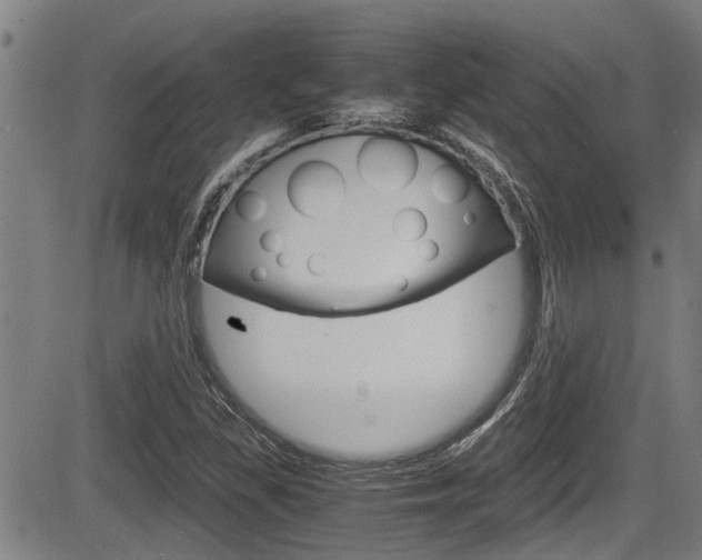 X0000084031309200702160842