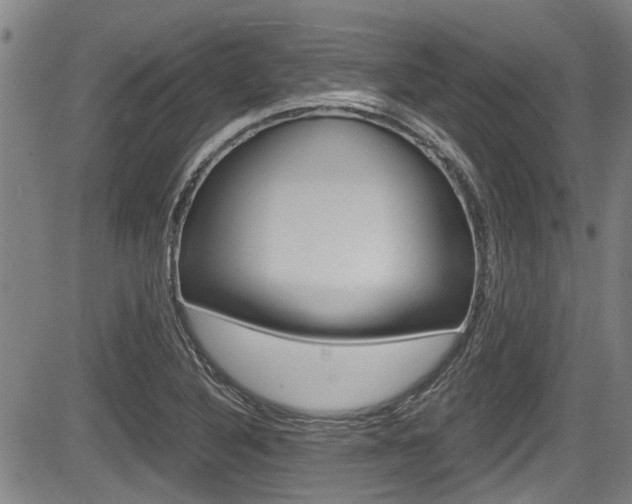 X0000084031316200702160842