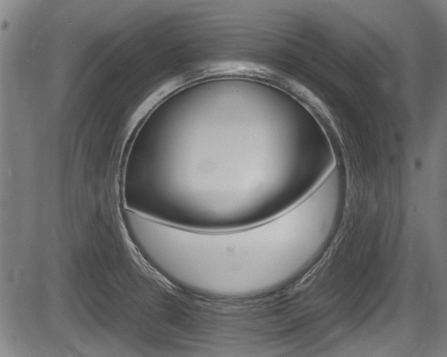 X0000084031330200702160842