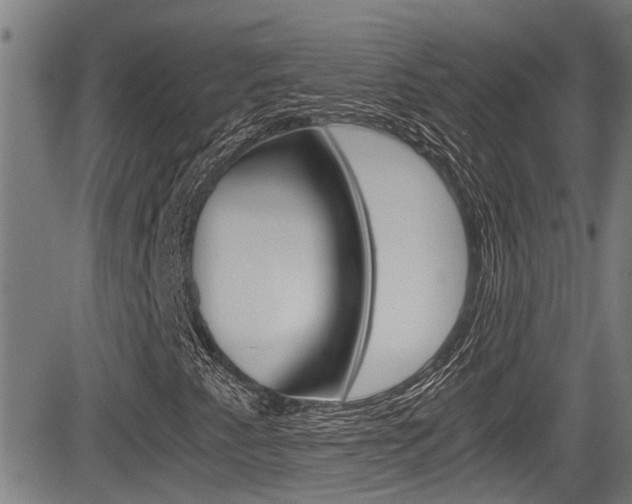 X0000084031345200702160842