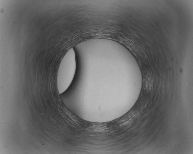 X0000084031346200702160842