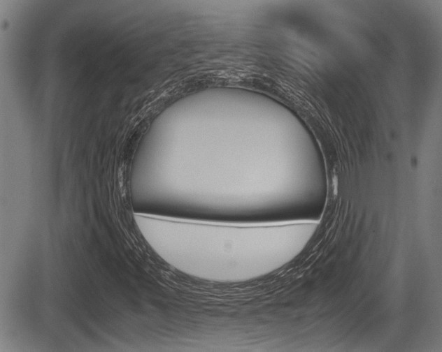 X0000084031347200702160842