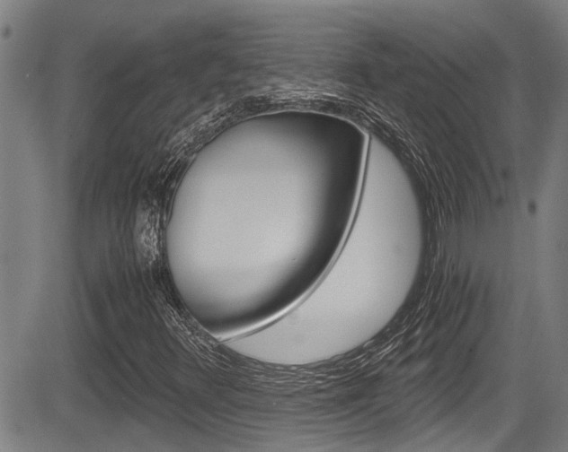 X0000084031348200702160842