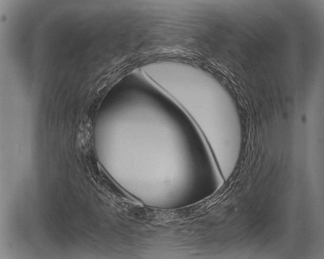 X0000084031349200702160842