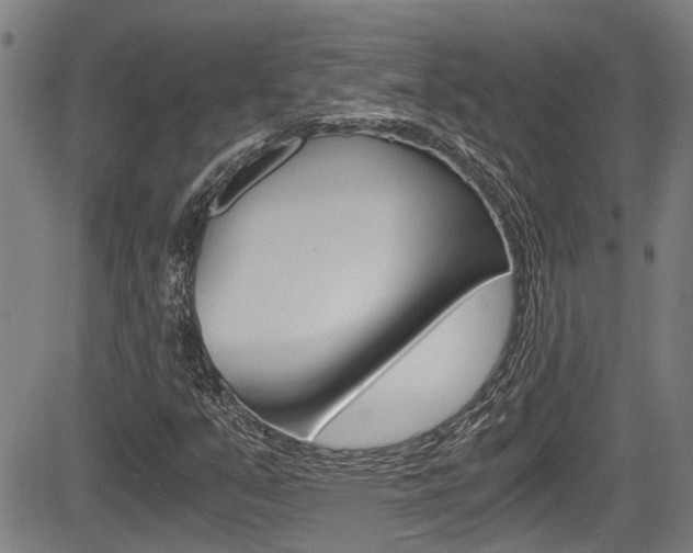 X0000084031351200702160842