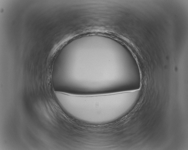 X0000084031359200702160842