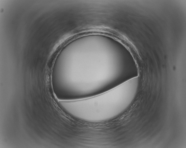 X0000084031360200702160842