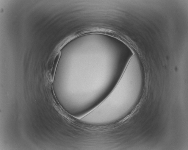 X0000084031369200702160841
