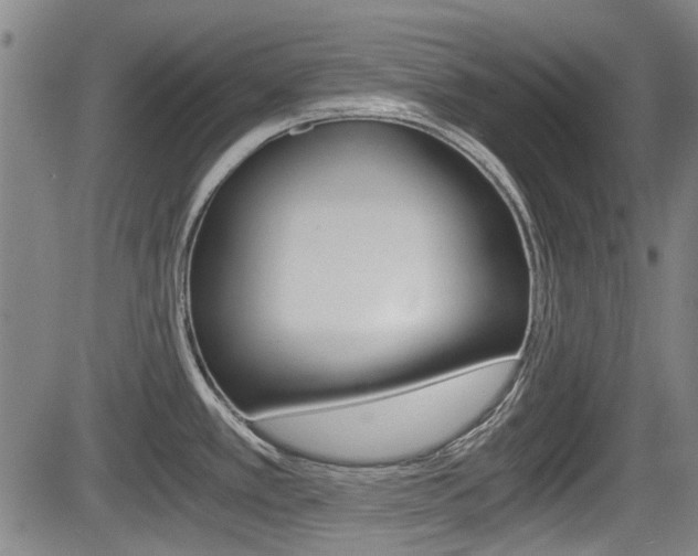 X0000084031389200702160841