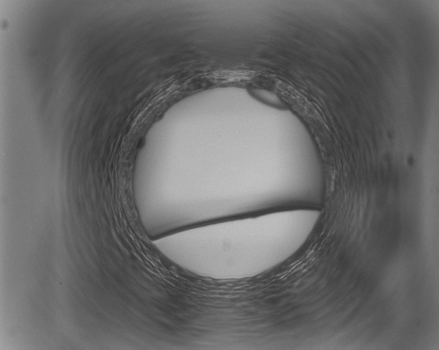 X0000084031393200702160840