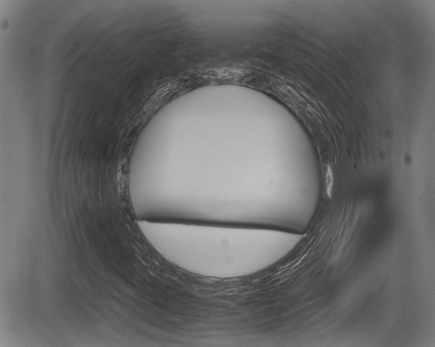 X0000084031395200702160840