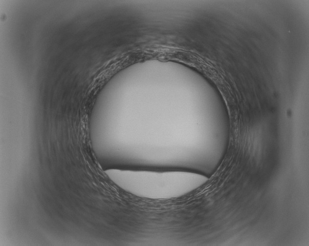 X0000084031397200702160840