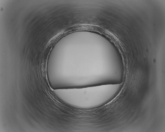 X0000084031403200702160840