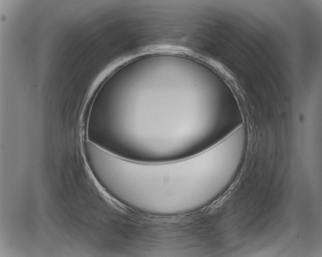 X0000084031430200702160841