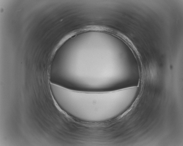 X0000084031433200702160841