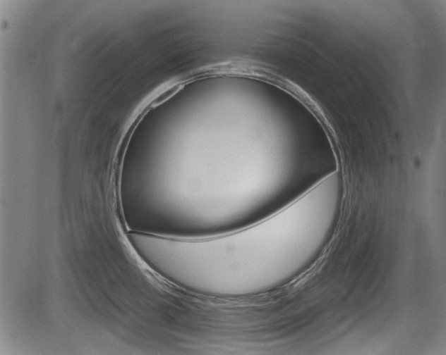 X0000084031434200702160841