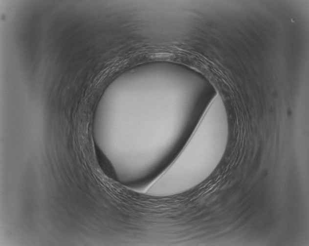 X0000084031441200702160840