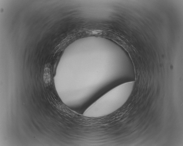 X0000084031442200702160840
