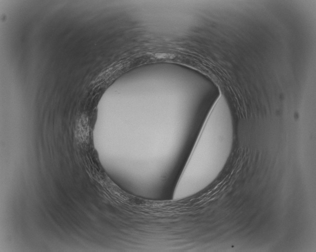 X0000084031443200702160840