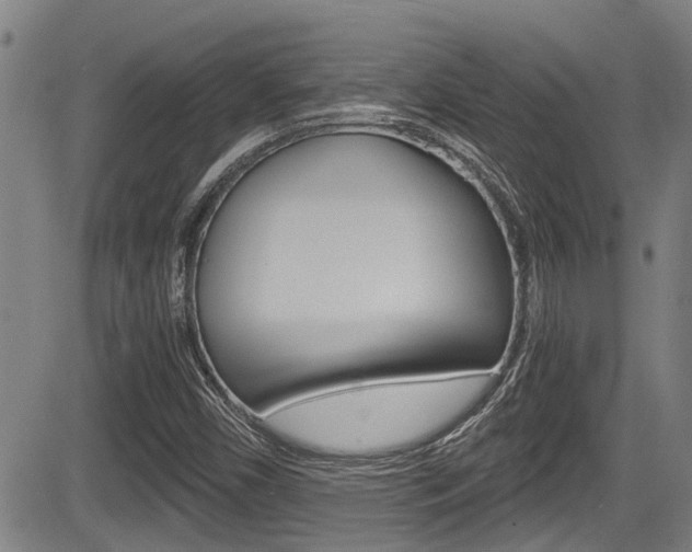 X0000084031450200702160840