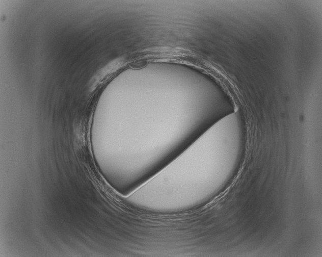 X0000084031451200702160840