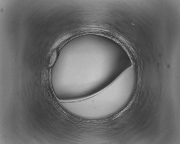 X0000084031453200702160840
