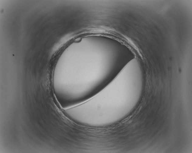 X0000084031456200702160840