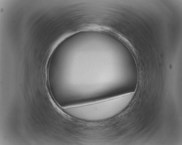X0000084031479200702160840
