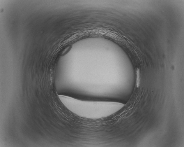 X0000084031491200702160839