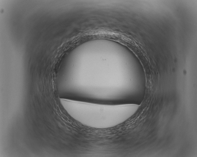 X0000084031493200702160839