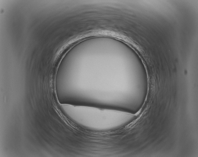 X0000084031499200702160839