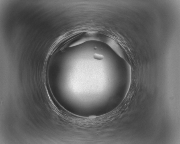 X0000084030003200702161446