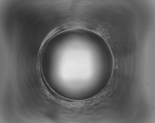 X0000084030004200702161446