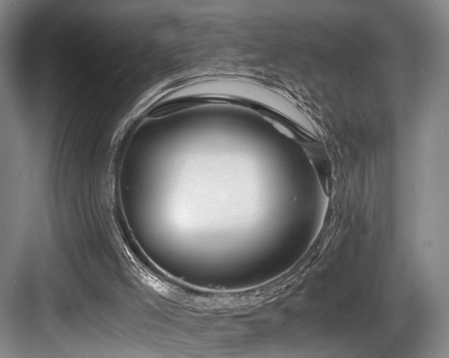 X0000084030005200702161446