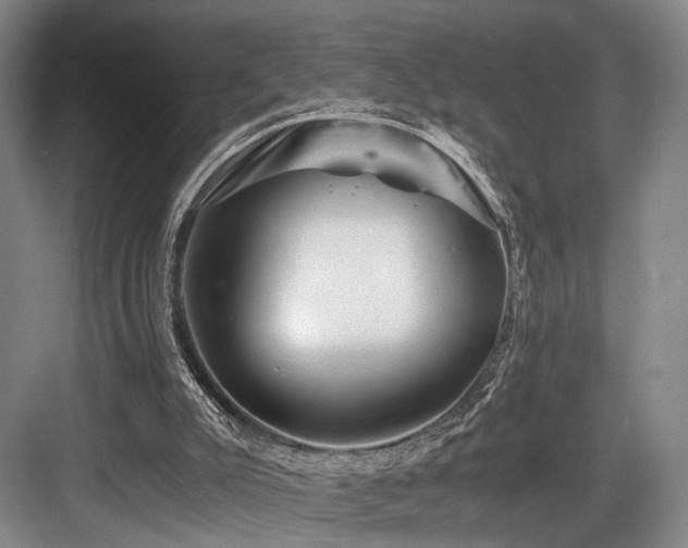 X0000084030007200702161446