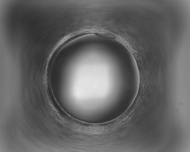 X0000084030008200702161446