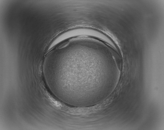 X0000084030009200702161446