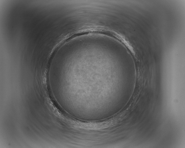 X0000084030010200702161446