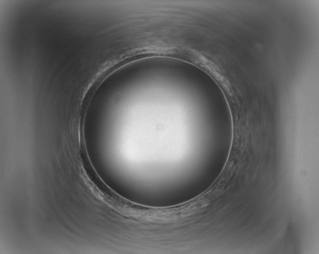 X0000084030011200702161446