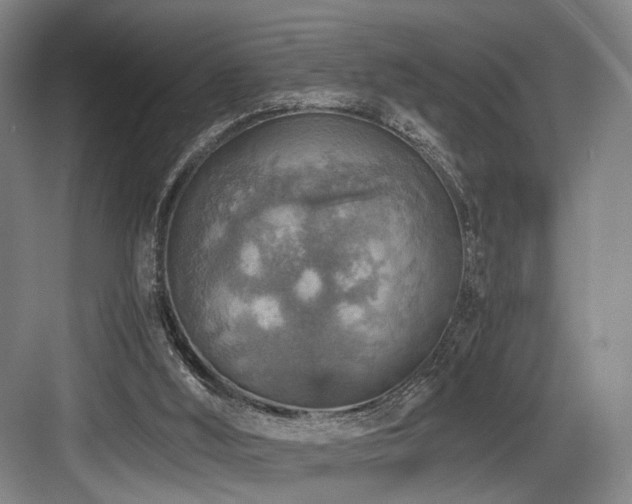 X0000084030012200702161446