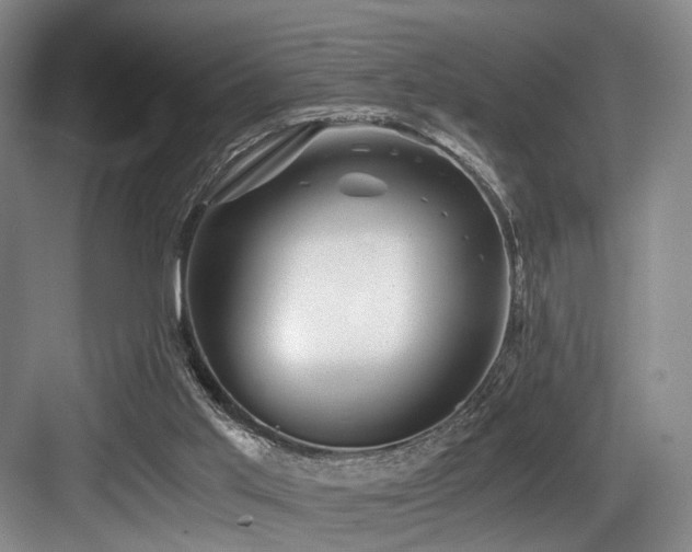 X0000084030013200702161446